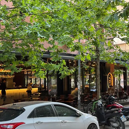 Delight * تيرانا